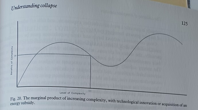 energy subsidy model