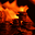 nick's avatar